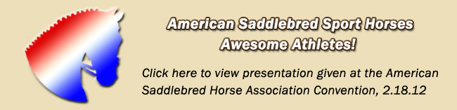 presentation given at the American Saddlebred Horse Association Convention, 2.18.12
